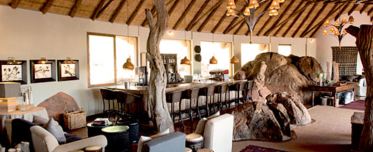 Madikwe Hills Private Game Lodge - Madikwe Game Reserve - Main Loge Bar