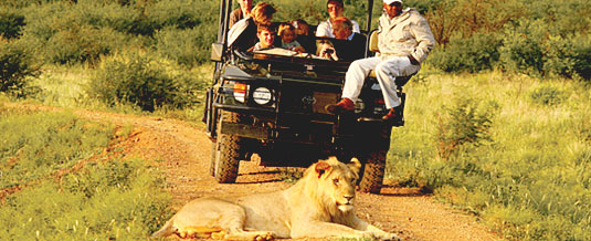 Madikwe Hills Private Game Lodge - Madikwe Game Reserve - Game Drives