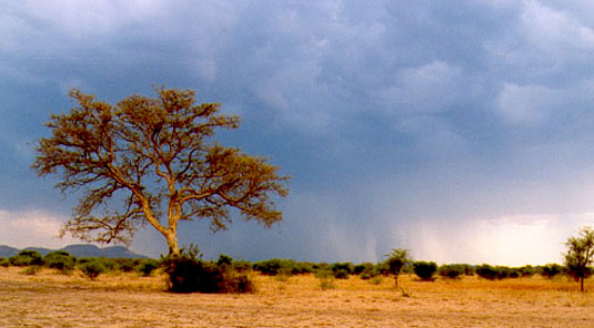 Madikwe Game Reserve - Makanyane Safari Lodge