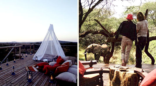 Makanyane Safari Lodge - Madikwe Game Reserve - Safari Hide & Deck