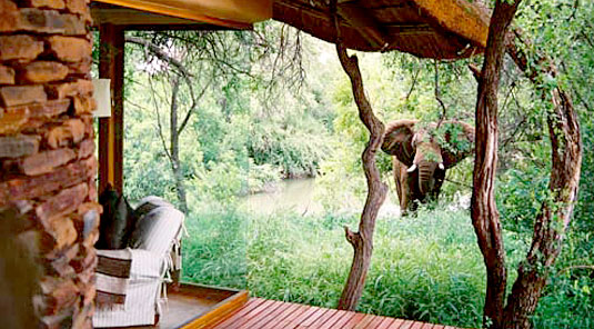 Makanyane Safari Lodge - Madikwe Game Reserve - Suite View & Elephant