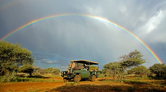 Mateya Safari Lodge - Madikwe Game Reserve - Game Drives