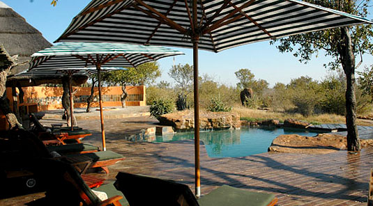 Madikwe Game Reserve - Rhulani Safari Lodge - Main Lodge Deck & Swimming Pool