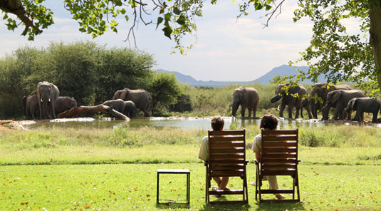 Elephants at the Waterhole - The Bush House - Madikwe Game Park