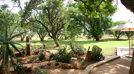 The Gardens - The Bush House - Madikwe Game Park