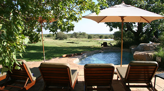 Swimming Pool - The Bush House - Madikwe Game Park