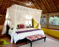 Jaci's Safari Lodge - Madikwe Game Reserve Lodge Accommodation