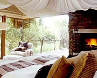 Makanyane Safari Lodge - Madikwe Game Reserve Lodge Accommodation
